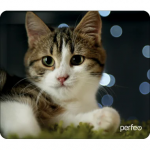 Коврик для мыши PERFEO PF_D0675, size: 194x233x3mm «Cat», Рис.31 (1/250)