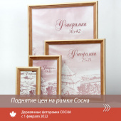 Поднятие цен на рамки СОСНА Поднятие цен на рамки СОСНА
