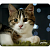 Коврик для мыши PERFEO PF_D0675, size: 194x233x3mm «Cat», Рис.31 (1/250)