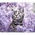 Коврик для мыши PERFEO PF_D0652, size: 340x280x4mm «Cat», Рис.11 (1/100)