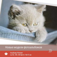 Фотоальбомы Pioneer. Новинки.
