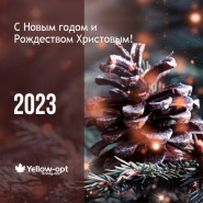 С наступающими Праздниками!