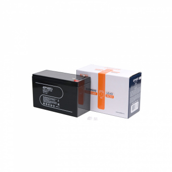 Аккумулятор EPILSO EPB12-9 12V 9Ah (1/10)