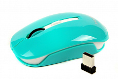 Мышь беспроводная HAVIT HV-MS980GT USB