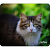 Коврик для мыши PERFEO PF_D0659, size: 180x220x2mm «Cat», Рис.24 (1/200)